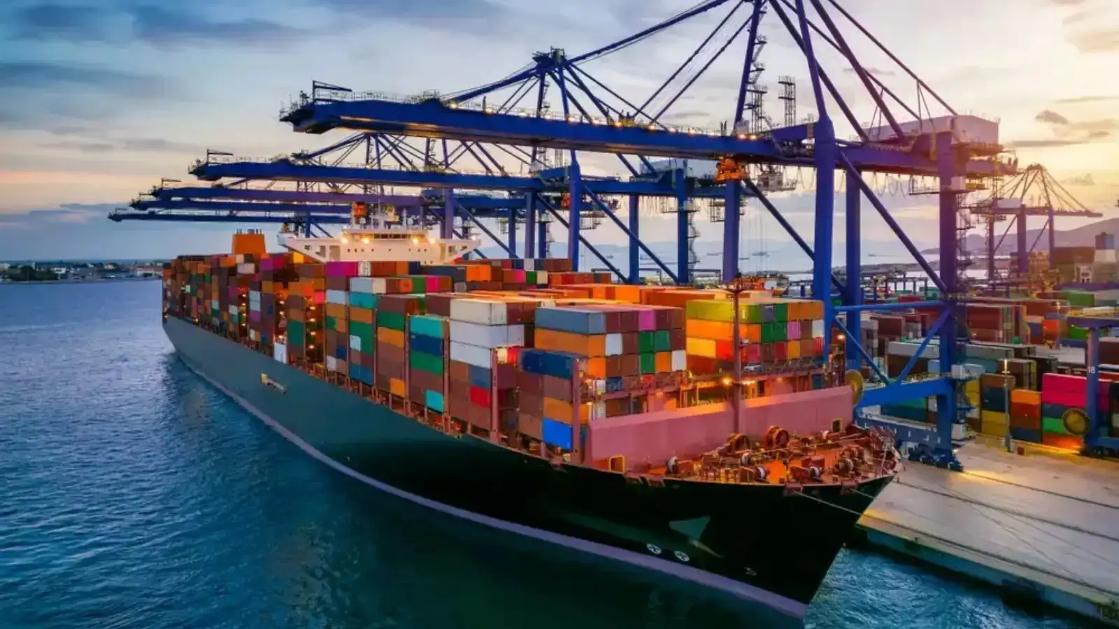 About Sea Horse Shipping LLC